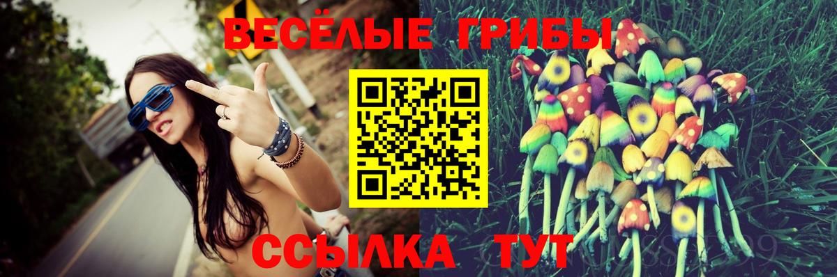 Дивногорск  Галлюциногенные грибы Psilocybe  Вход с VPN 