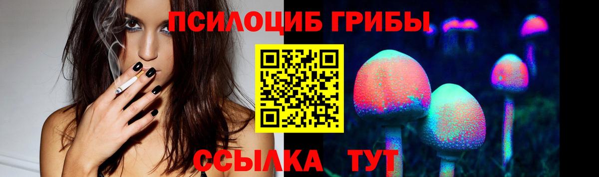 Псилоцибиновые грибы GOLDEN TEACHER Дивногорск
